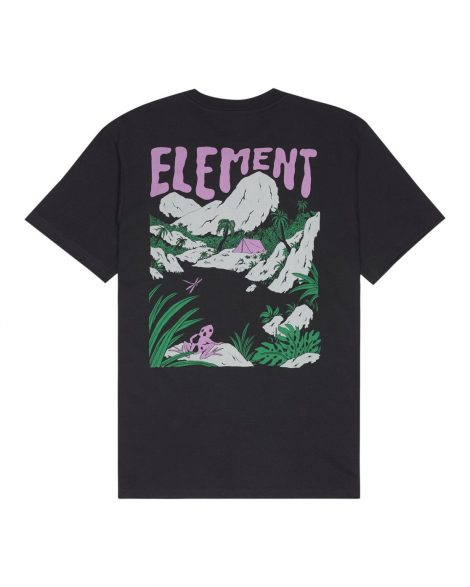 Element - Lakeside T-Shirt à manches courtes Homme Off black
